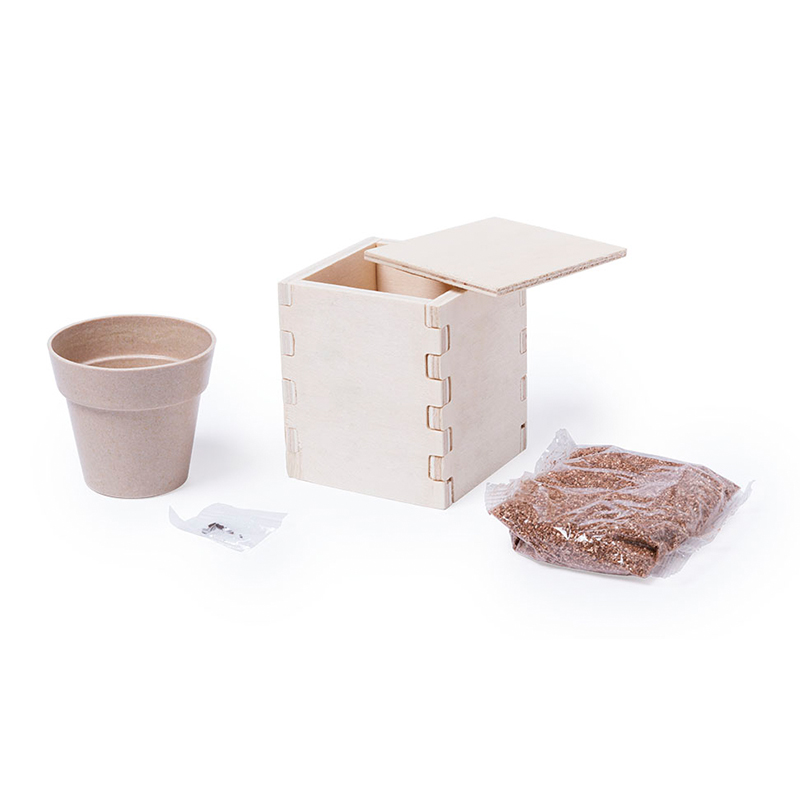 Pot en bois avec menthe - image 2